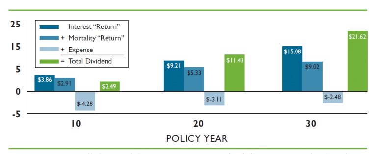 Shows how different components make up a Participating Whole Life Dividend from a mutual insurance company